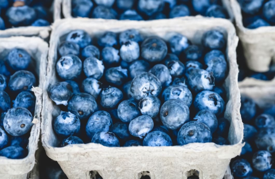 Blåbärspulver består av torkade blåbär som har blivit malda