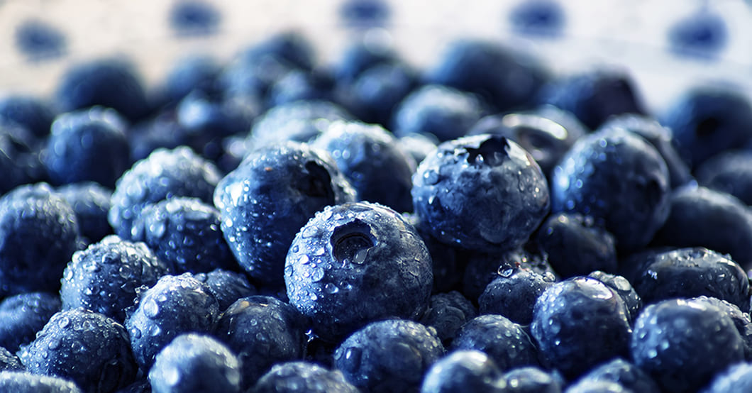 Blåbär är ett riktigt superbär och faktum är att man länge har förstått att blåbäret har många hälsosamma effekter