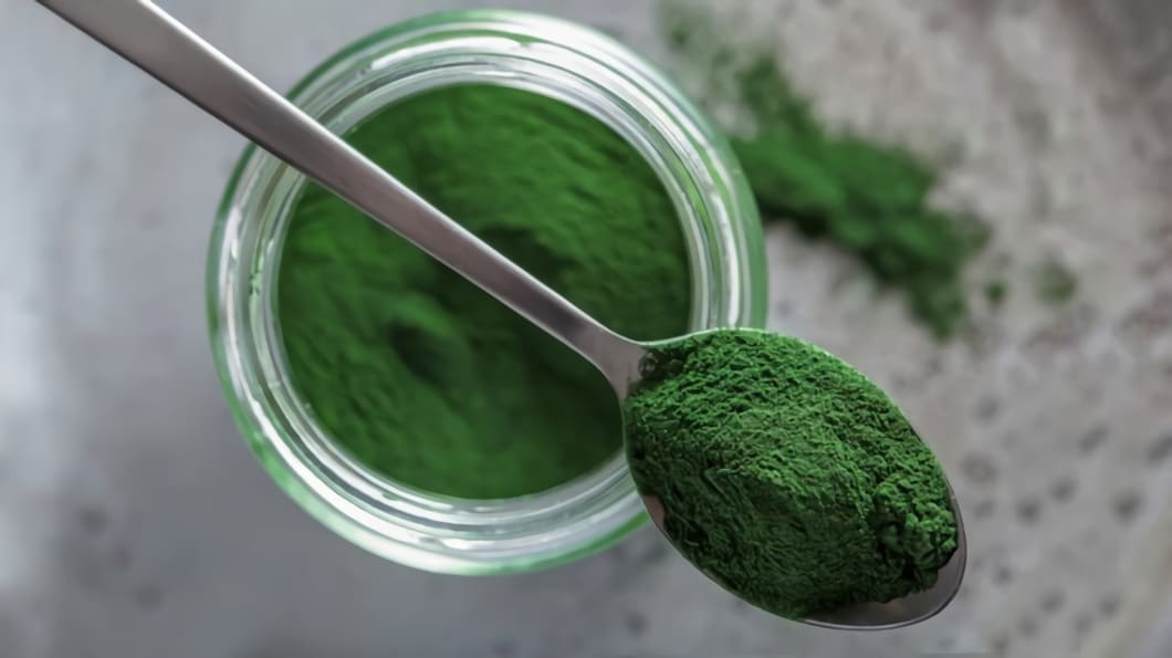 Chlorella är en mycket näringsrik alg och mer än halva algens innehåll består av protein